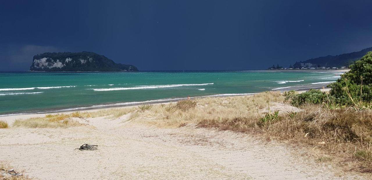 Heron'S Nest Whangamata Exteriér fotografie